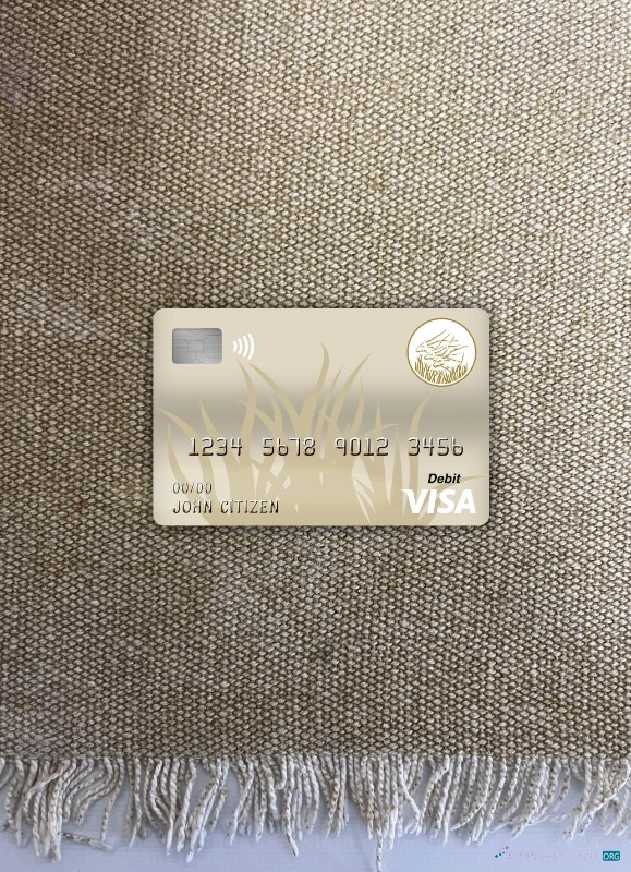 Central African republic bank of central african states (beac) bank visa debit card photolook front
